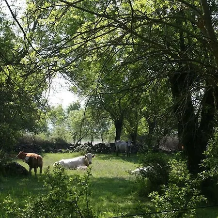 La Fresneda De Tenzuela *