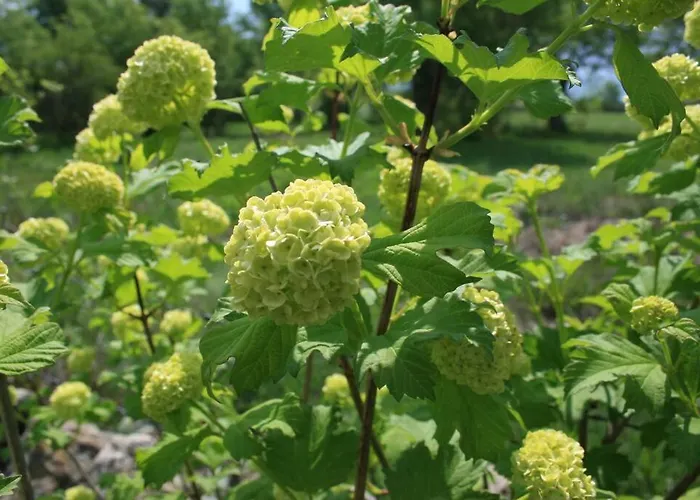 Villa La Fresneda De Tenzuela *