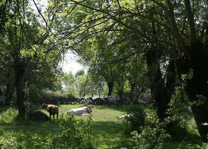 La Fresneda De Tenzuela *